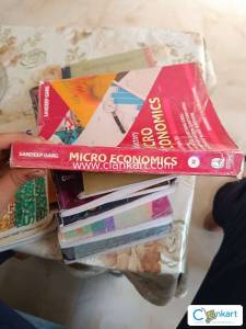 Microeconomics sandeep garg class 11
