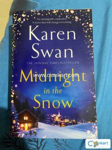 Midnight in the Snow