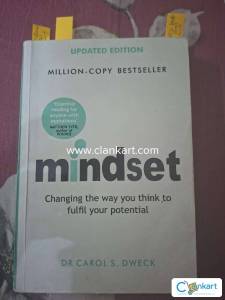 Mindset Changing The Way You Think by Dr Carol S Dweck