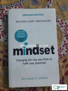 Mindset novel