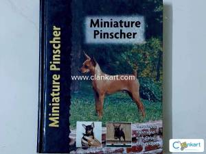 Miniature Pinscher