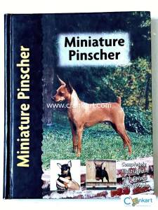 Miniature Pinscher
