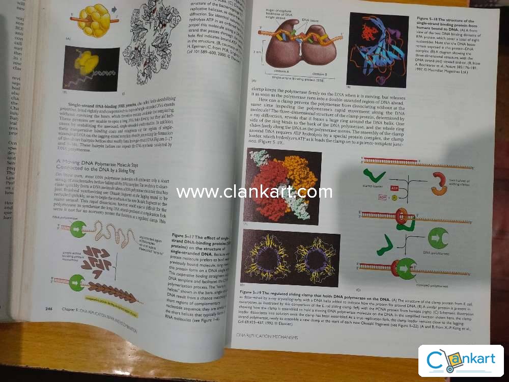 Molecular Biology Of The Cell By Alberts www.clankart.com