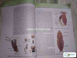 NCERT Biology Class 11 & 12 Set (2019 Edition)