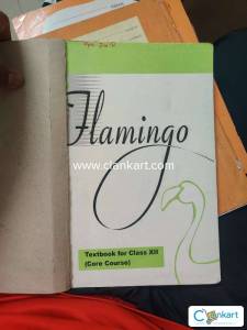 NCERT CLASS 12 FLAMINGO
