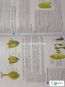 NCERT FINGERTIPS BIOLOGY