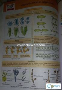 NCERT FINGERTIPS FOR NEET PREPARATION