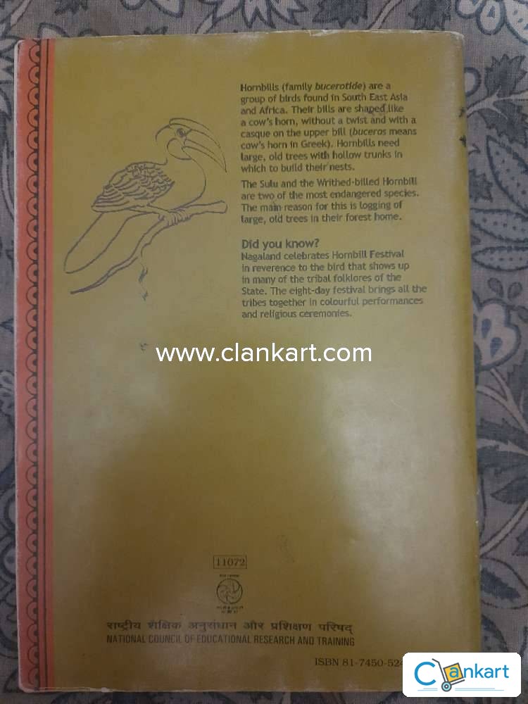 NCERT Hornbill English Core Class 11 Textbook (CBSE) - Latest Edition