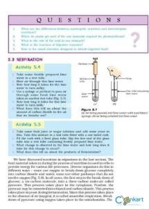 NCERT Science for class 10