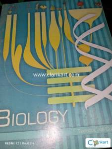 NCERT and Writer books class 10 and 12 and story books