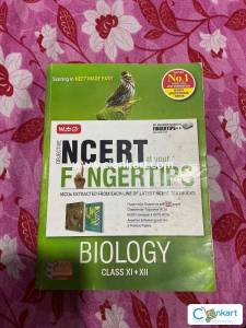 NCERT at your fingertips