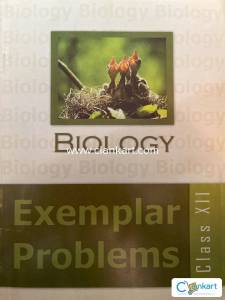 NCERT class 12 Exemplar Problems bundle