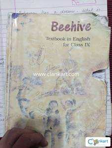 NCERT class 9th beehive