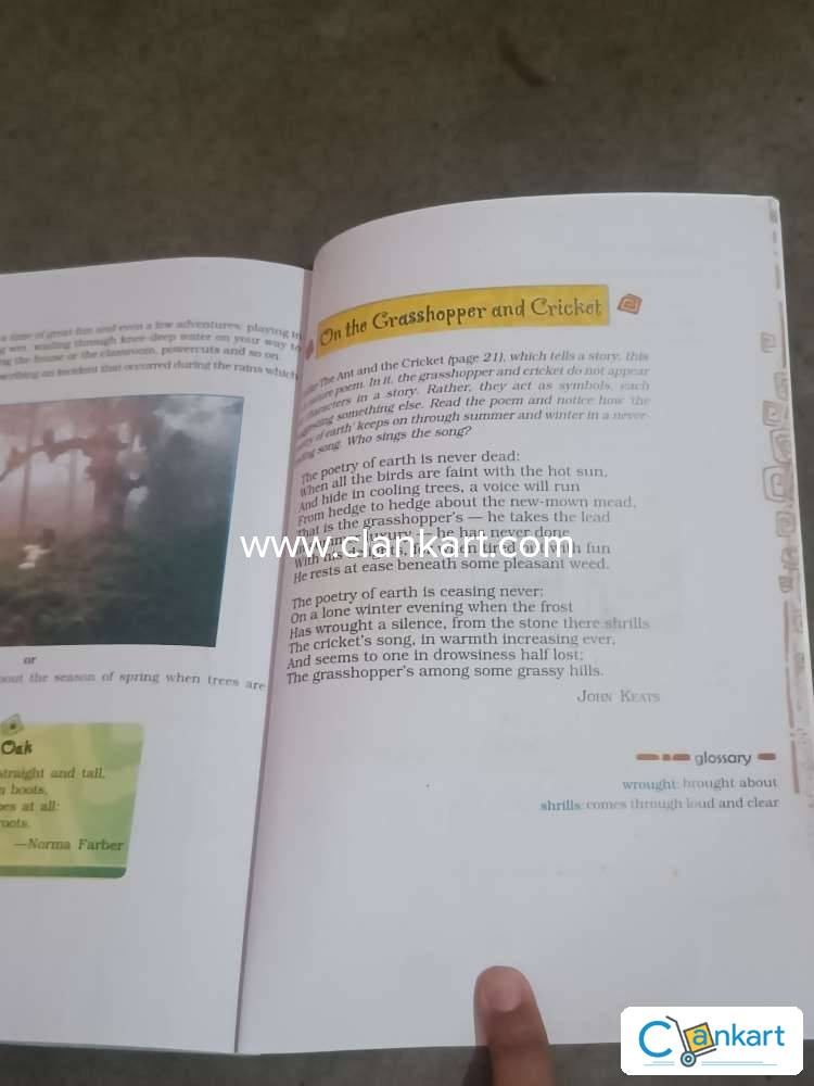 Buy Honeydew English Textbook Book In Excellent Condition At Clankart