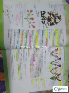 NCERT old ver std 11 book