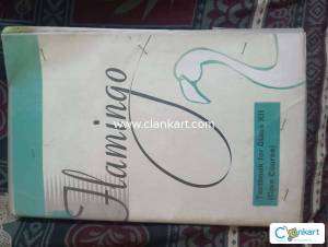 Ncert English (flamingo) for class 12