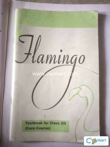 Ncert Flamingo class 12