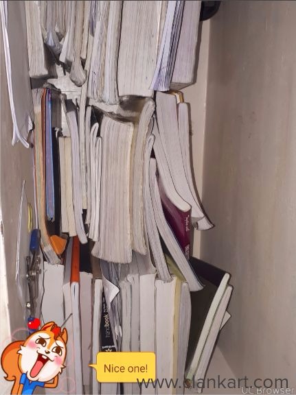 Ncert class 11 pcm with physical education