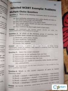 Ncert solutions class 10 science