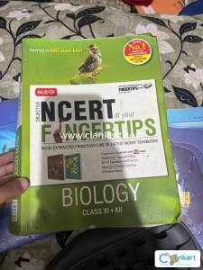 Ncrt fingertips