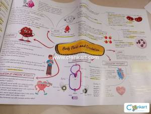 Neet mind maps
