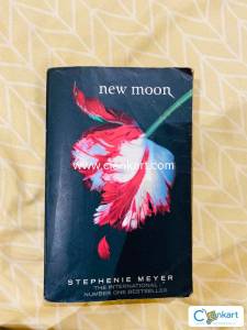 Novel   Thrilling tale of vampire romance