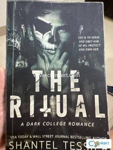 Novel ( dark romance )