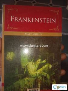 Novel book