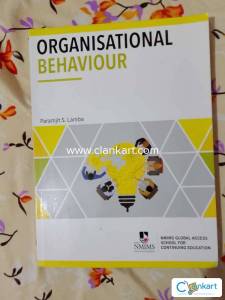 Organization behaviour paramjit s lamba
