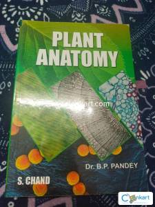 Plant Anatomy