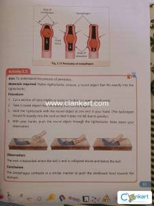 Podar international school science textbook class 7
