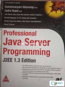 Professional Java Server Programming