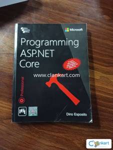 Programming ASP.NET Core