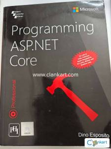 Programming ASP.NET Core