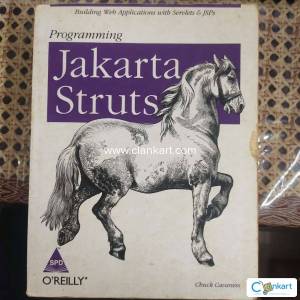 Programming Jakarta Struts