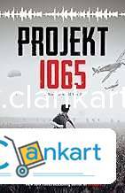 Projekt 1065: A Novel of World War