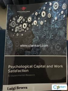 Psychological capital and work satisfaction