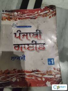 Punjabi guide