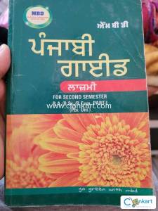 Punjabi guide compulsory for second semester