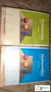 Rd Sharma Class 12 both volumes.