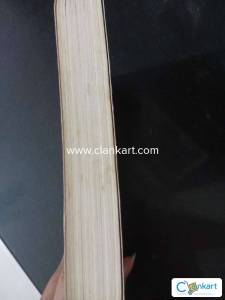 Red white and royal blue