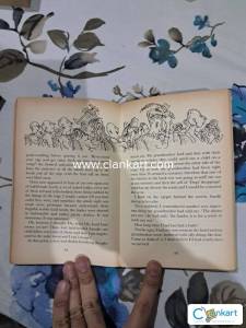 Roald Dahl The Witches