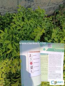 SCERT COMPUTER APPLICATION CLASS 12