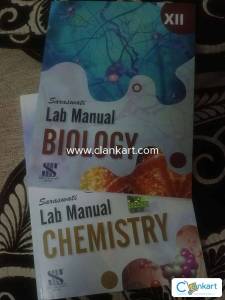 Saraswati lab Manual for class 12