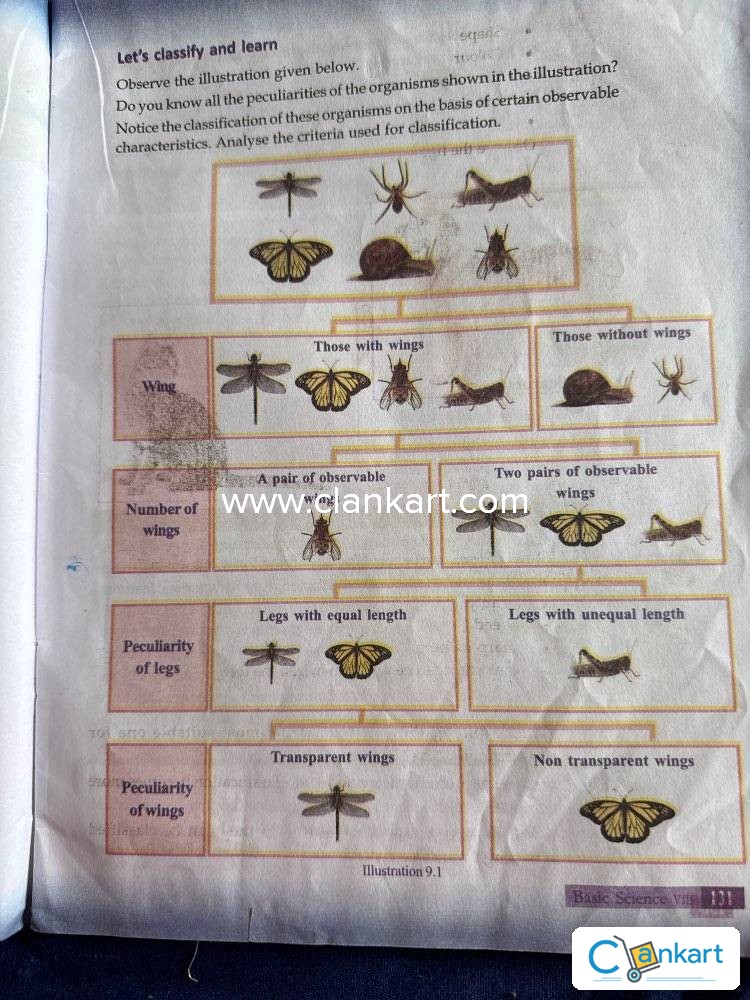 basic science class 8 textbook pdf 2024