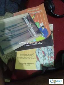 Stat for 11 and economics for 12