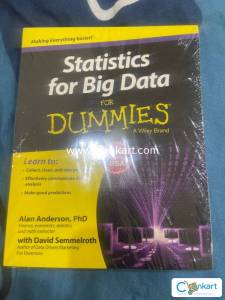 Statistics for big data