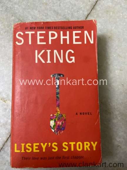 Stephen kings - liseys story