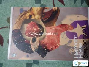 Steppenwolf by herman hesse