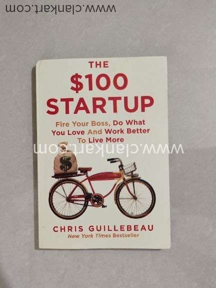 THE 100 DOLLAR STARTUP